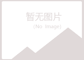 大同城山柏司法有限公司